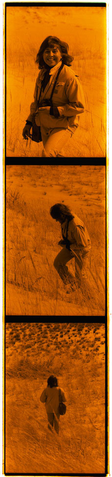 Mary Kass, Provincetown dunes, 1985